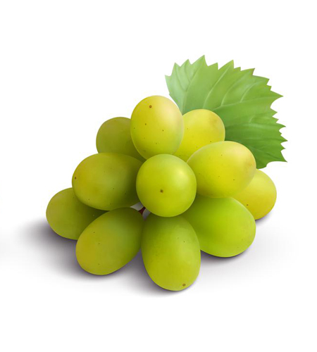 http://grapes